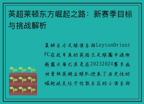 英超莱顿东方崛起之路：新赛季目标与挑战解析