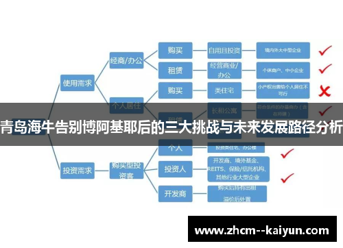 青岛海牛告别博阿基耶后的三大挑战与未来发展路径分析