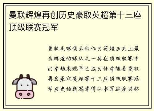 曼联辉煌再创历史豪取英超第十三座顶级联赛冠军